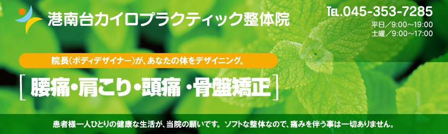 �`���J�C���v���N�e�B�b�N���̉@